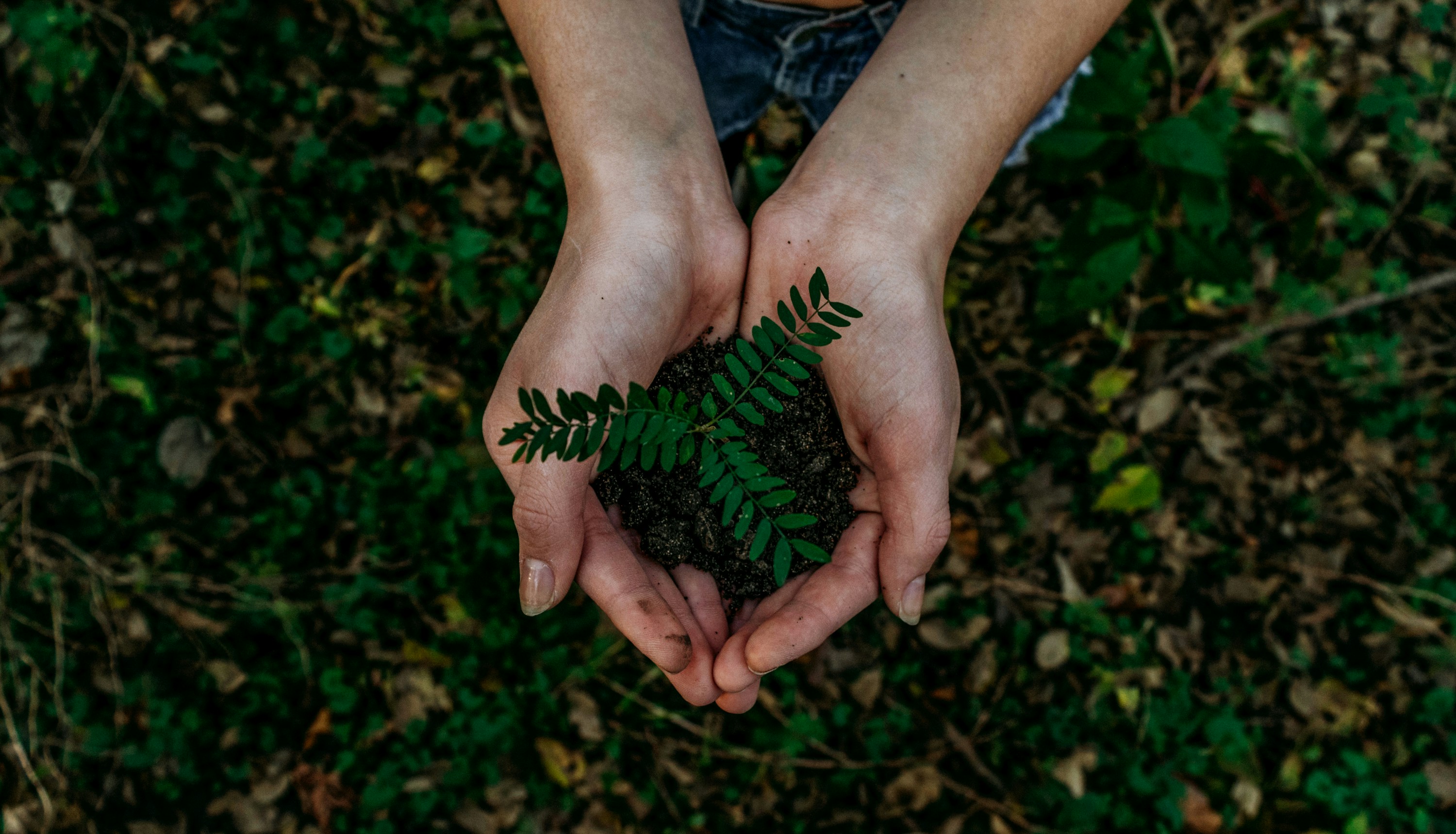 Environmental Health